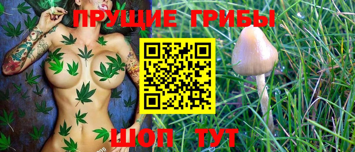 Галлюциногенные грибы Cubensis Ивантеевка